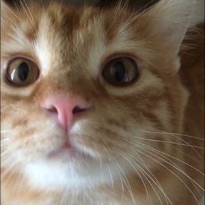 Meet your Posher, Bianca